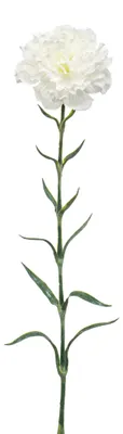 Immagine prodotto di Garofano artificiale Dianthus spray H. 67 cm bianco Emerald Fiori artificiali
