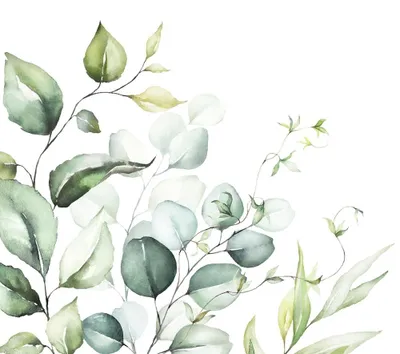 Produktbild von Servietten 33x33 cm - Eucalyptus Branches