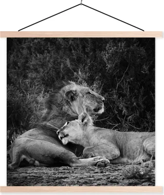 Produktbild von MuchoWow® Textilposter Löwen - Schwarz - Wilde Tiere 120x120 cm mit holzfarbenen Rahmen - Textil-Poster