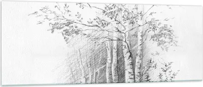 Produktbild von Bilder auf glas - Einteilig - Skizze Wald Birke - 140x50cm - Glasbilder - Wandbilder - Bilder - zum Aufhängen bereit - Wanddekoration aus Glas - Glas Bilder - Wandbild auf Glas - GAB140x50-4280