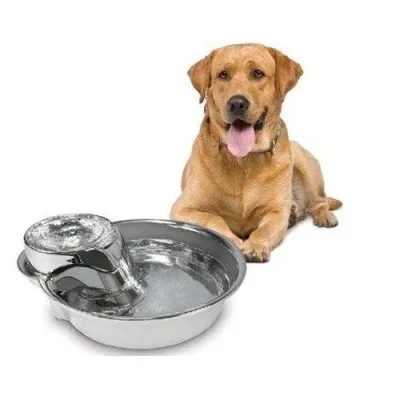 Produktbild von PioneerPet 3009, Hund, Edelstahl, Edelstahl, Haustiertränke, Einfarbig, 3,7 l