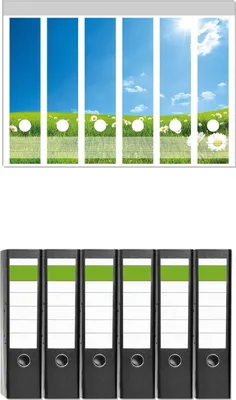 Produktbild von Wallario 6 Stück breite Ordner inkl. Klebeetiketten mit Motive Sommerwiese - Weiße Gänseblümchen vor blauem Himmel -  Set mit Rückenschildern / Ordnerrücken Stickern