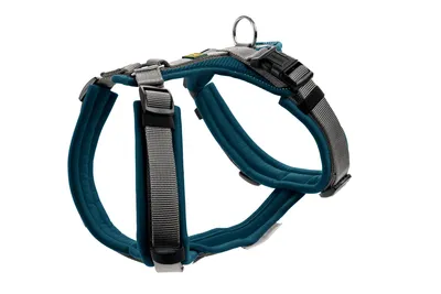 Produktbild von Hunter Maldon, Hund, Halftergeschirr, M-L, Grau, Türkis, Nylon, Einfarbig