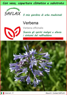 Immagine prodotto di SAFLAX Garden to go - Verbena - 250 semi - Verbena