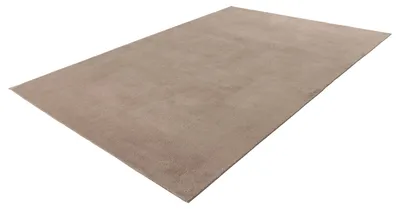 Produktbild von Teppich Earthquake 225 Taupe 80x140 cm – Pflegeleicht & Strapazierfähig