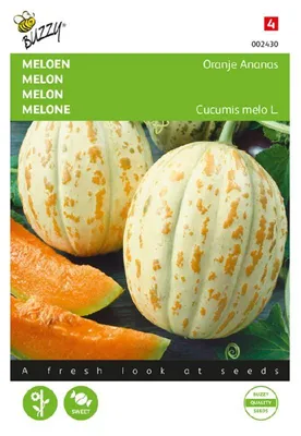 Produktbild von Melone Orange Ananas | Melonensamen von Buzzy Seeds