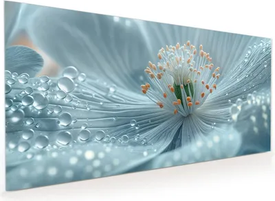 Produktbild von Küchenrückwand Spritzschutz Glas mit Motiv Blumenpracht 40 x 40 cm
