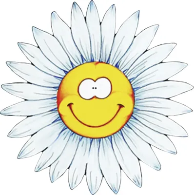 Produktbild von Hermann Schütz Aufkleber Blumengesicht