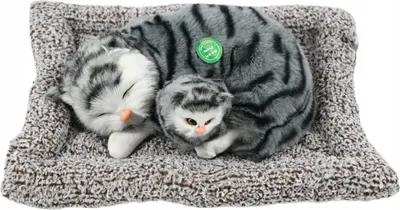 Image de chat sur oreiller 27cm figurine décorative