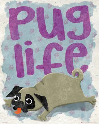 Image de Chiens - Mini posters - Pug Life