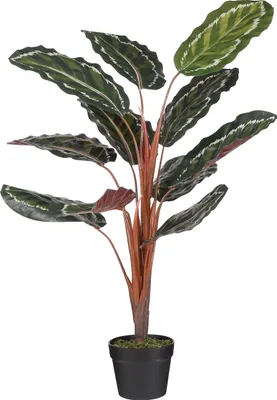 Produktbild von Mica Decorations Calathea roseoptica Kunstpflanze - H90 x Ø60 cm - Grün