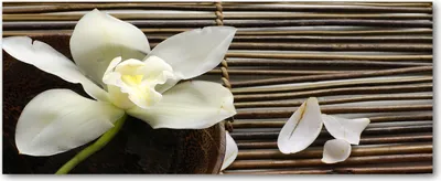 Produktbild von Tulup® Glas-Bild Wandbild aus Glas - 125x50 - Wandkunst - Wandbild hinter gehärtetem Sicherheitsglas - Dekorative Wand für Küche & Wohnzimmer  - Blumen & Pflanzen - Orchidee - Weiß