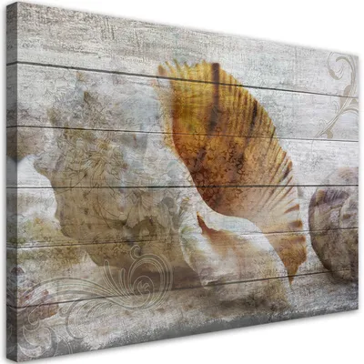 Produktbild von Leinwandbild Vintage-Muscheln 60x40 Feeby Beige bild für die wand bereit zum aufhängen