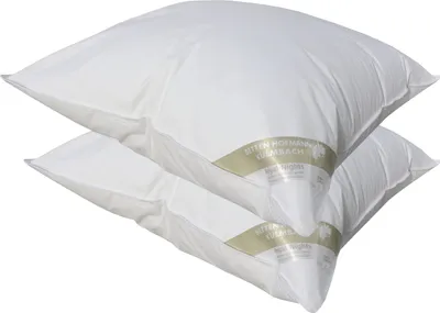 Produktbild von 2 Stück Betten Hofmann Basic Allergiker Kopfkissen Faserkissen 80x80 cm 850 g