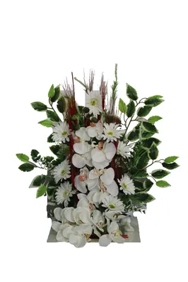 Cementerium Santos Orchideen, weiß, 57 x 62 cm