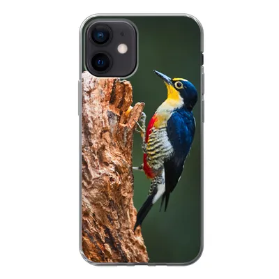 Produktbild von MuchoWow® Handyhülle Schutzhülle Hülle für iPhone 12 Nahaufnahme eines bunten Vogels auf der Seite eines Baumstamms Silikon Softcase Handy Hülle - Schutzhülle