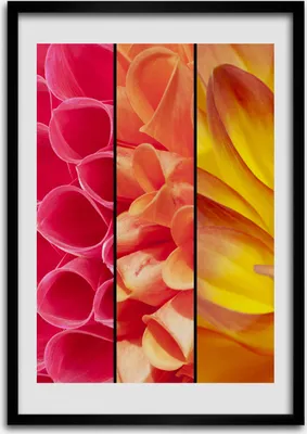 Produktbild von Bild - Bilderrahmen - Foto - 70 cm x 100 cm - MDF - Rahmen - Wandkunst - Bunte Blumen