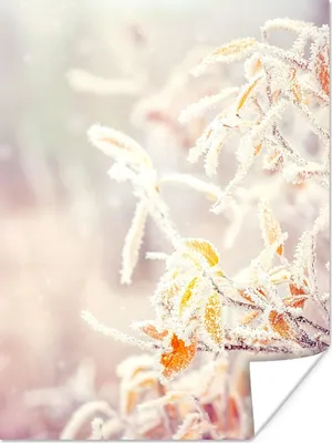 Produktbild von MuchoWow® Poster Winter - Äste - Schnee - Natur 90x120 cm - Wohnzimmer