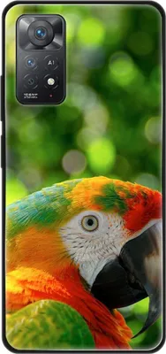 Produktbild von König Design Hülle kompatibel mit Xiaomi Redmi Note 11E Pro Kunststoff Soft Handyhülle - Handy Case Papagei