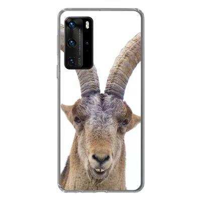Produktbild von MuchoWow® Handyhülle Schutzhülle Hülle für Huawei P40 Pro Steinbock - Tiere - Hoorn Silikon Softcase Handy Hülle - Schutz
