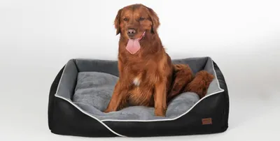 Produktbild von RAIKOU Ergonomisches Hundebett für kleine und große Hunde Schlafplatz waschbar Hundekorb flauschig weich strapazierfähiges, kuscheliges Design