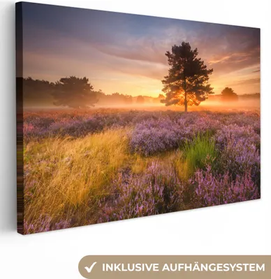 Zdjęcie produktu dla MuchoWow® - Obraz na płótnie - Krajobraz wrzosowiska z drzewem, fototapeta, dekoracja ścienna, obrazy do salonu, 90x60cm