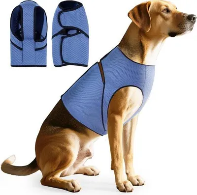 Immagine prodotto di La migliore tuta anti-paura per cani in Germania - Comoda e elasticizzata - Protegge dall'ansia in caso di temporali, fuochi d'artificio o blackout - Morbido tessuto a compressione + design a rete - Ideale per i viaggi o le visite dal veterinario - Blu, XL