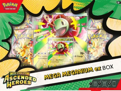 Zdjęcie produktu dla Pokémon TCG: Ascended Heroes - Mega Meganium ex Box