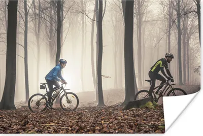 Produktbild von MuchoWow® Poster Mit dem Mountainbike über einen Waldweg 180x120 cm - Fotoplakat
