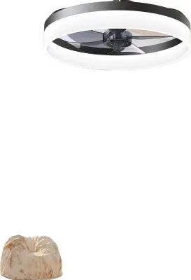Produktbild von Deckenventilator, Fernbedienung, dimmbare Beleuchtung, schwarz B2