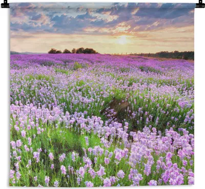 Produktbild von MuchoWow® Wandteppich Wandbehang Lavendel - Blumen - Sonnenuntergang - Lila - Wiese 90x90 cm Tapisserie Dekoration Wandtuch - Wandaufhänger