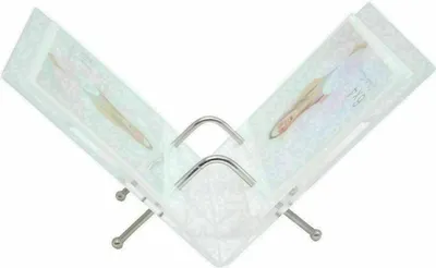 Produktbild von Deknudt S58RS7 Bilderrahmen transparent 10x15 cm