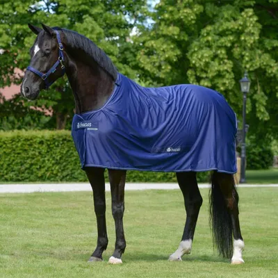 Produktbild von Bucas Power Cooler Outdoordecke, Stalldecke in zwei Farben, Farbe:Navy/Silver, Größe:135
