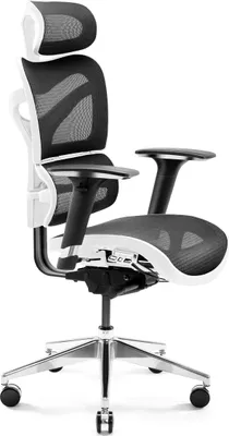 Obrázok produktu pre Diablo V-Commander Kancelárska Ergonomická Stolička Výkonná stolička 3D opierky rúk Bedrová opierka Nastaviteľné Opierka hlavy a sedadlo Sieťovina bielo-čierna