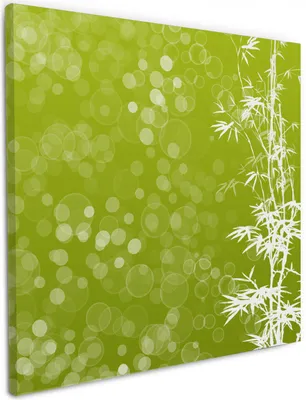 Produktbild von Wallario Premium Leinwandbild Bambusmuster grün-weiß in Größe 50 x 50 cm