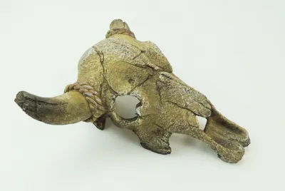 Produktbild von Aquarium Dekoration, Schädel mit Hörnern Terrarium Zubehör