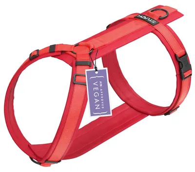 Hundegeschirr aus Nylon, verstellbar, gepolstert, Rot, S