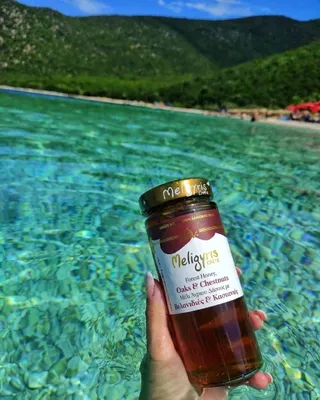 Produktbild von Meligyris Honig 450 g mit Kastanie und Eiche Natürlich