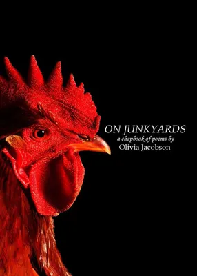 Produktbild von On Junkyards