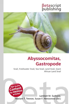 Produktbild von Abyssocomitas, Gastropode