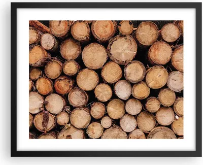Produktbild von Gerahmtes Poster - Schwarzer Rahmen - Holz Baumstämme Stämme - 50x40 cm - Wand Bild - Wanddeko - Wandbilder - Kunstposter - Wandposter - Bilderrahmen - Bilder - Kunstdruck - P2BAA50x40-4864