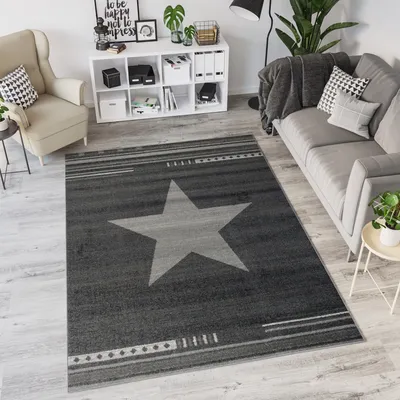 Produktbild von Teppich Wohnzimmer Schlafzimmer Kurzflor Modern Design Meliert Stern Streifen Gestreift Grau Schwarz Küche  200 x 290 cm