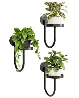 Produktbild von Bamworld Hängegefäße für Zimmerpflanzen, Wandhalter, Pflanztöpfe, Fensterregale, Pflanzenhalter, Wanddeko, Schwarz, 3 Stück, Schwarz