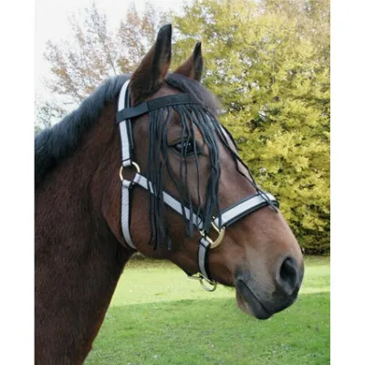 Produktbild von Fliegen-Fransenband Pony
