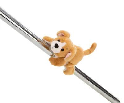 Image de NICI aimant Chien marron 12cm, VERT