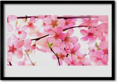 Produktbild von Bild 100x70 MDF-Rahmen Wandkunst Blumen Pflanzen