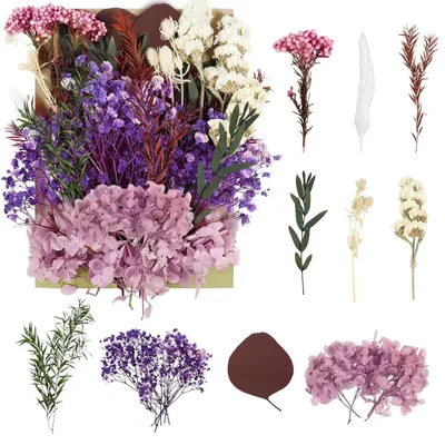 Getrocknete Blumen (lila) für Bastelarbeiten, DIY-Kunst, Harz, Scrapbooking