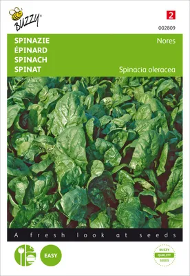 Productafbeelding van Spinat Nores | Spinazaad van Buzzy Seeds