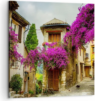 Produktbild von Bild auf Leinwand - Leinwandbild - Straße Sommer Blumen - 60x60cm - Wand Bild - Wanddeko - Leinwanddruck - Bilder - Kunstdruck - Wanddekoration - Leinwand bilder - Wandkunst - AC60x60-3589