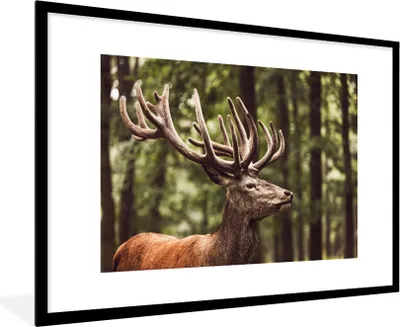 Produktbild von MuchoWow® Gerahmtes Poster Hirsch - Natur - Geweih - Wald - Tiere 90x60 cm - Poster mit Schwarzem Bilderrahmen Wandposter Rahmen Foto Bilder - Wanddekoration - Fotos